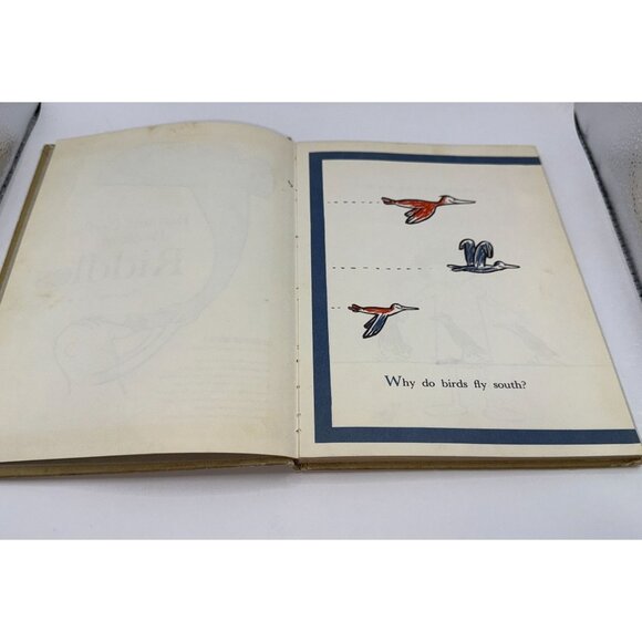 Bennett Cerfs Book Of Riddles W/ Illustrations By Roy McKie Hardcover Beginner - Picture 3 of 9